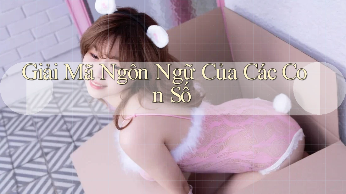 Giải Mã Ngôn Ngữ Của Các Con Số Giải Mã Ngôn Ngữ Của Các Con Số