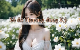 số đỏ Thưởng đăng ký
