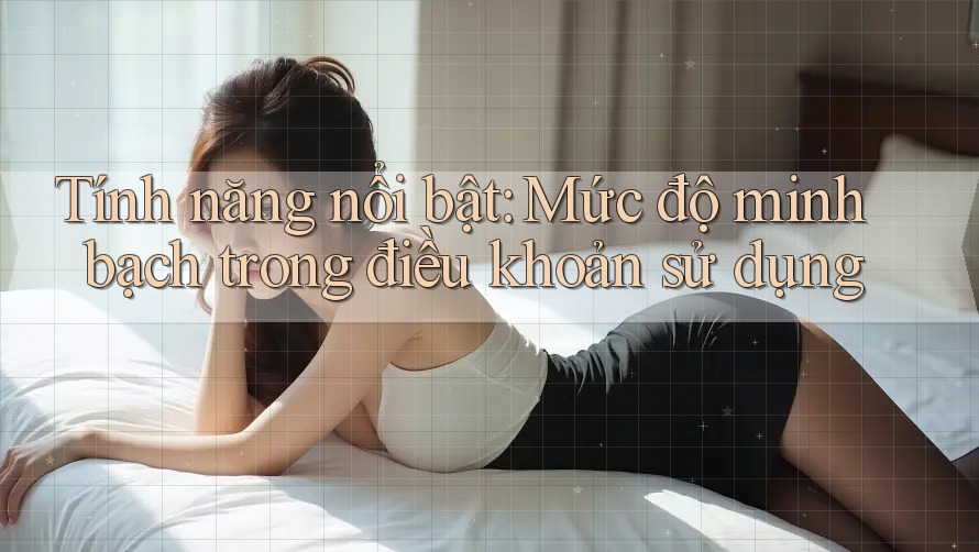 Tính năng nổi bật: Mức độ minh bạch trong điều khoản sử dụng