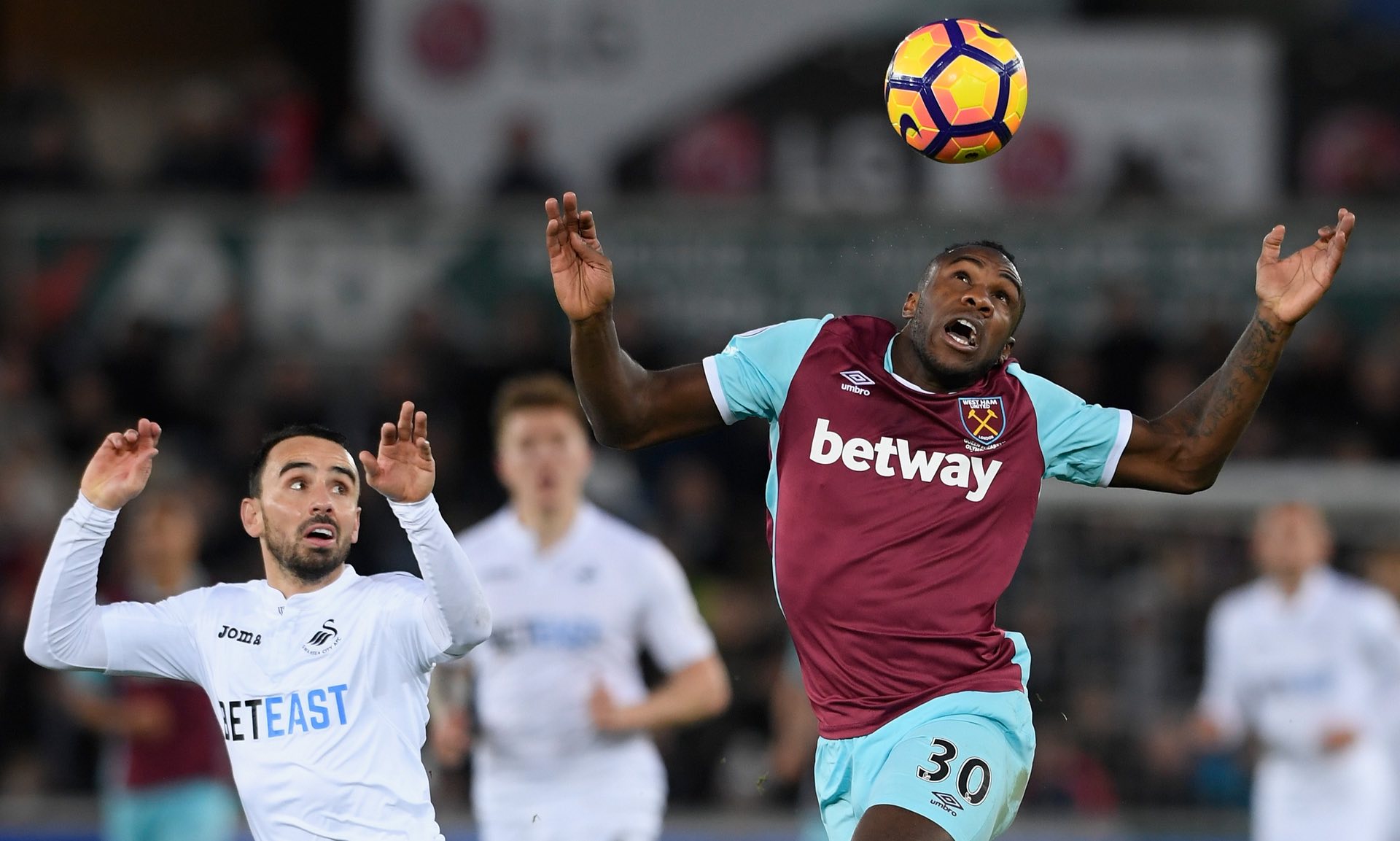 就培养出了 就培养出了